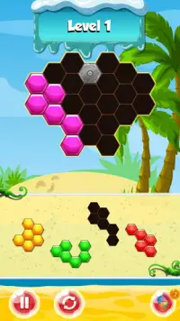 Hexagon Puzzle - Intelligence Game For Kids Screen Shot 8