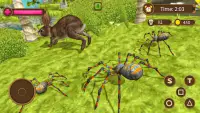Tarantula Spider Life: Spider Simulator Games 2021 Screen Shot 4