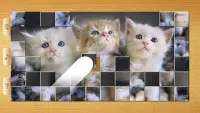 Cat Puzzles - Drag & Swap Screen Shot 5