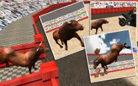 Angry Bull Attack Simulator Screen Shot 11