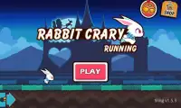 Rabbit Crazy Running Screen Shot 1