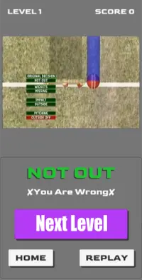 Cricket OUT or NOT Screen Shot 4