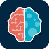 Brain Builder Learning System