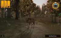 Deer Hunting Season 3D 2017 Screen Shot 2