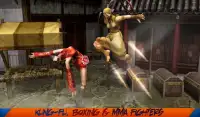 The King Fighters of Street Fighting Screen Shot 11