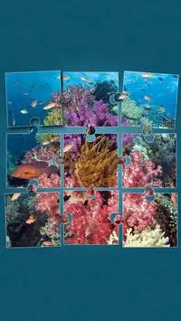 Under the Sea Jigsaw Puzzles Screen Shot 9
