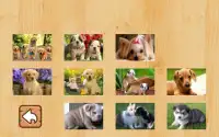 Quebra-cabeças de animais Screen Shot 3