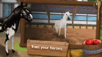 HorseHotel Premium - juego para amigos de caballos Screen Shot 4
