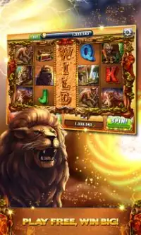 Cats Dogs Slots&Slot machines Screen Shot 10