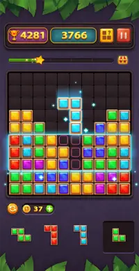 Block Puzzle Game Screen Shot 10