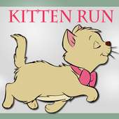 Kitten Run Away