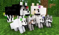 Wolves    Mod for Minecraft PE Screen Shot 0