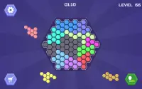 Hex Blocks Puzzle Screen Shot 11