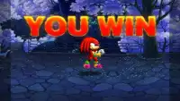Knuckles Hero: Sonic Legend Fighting Battle Screen Shot 5