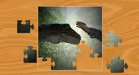 Dinosaur Puzzle - Puzzle Jigsaw bezpłatny Screen Shot 5
