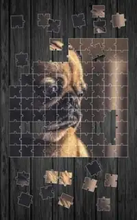犬のジグソーパズル Screen Shot 5