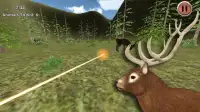 Forest Sniper Bear Hunter Screen Shot 1