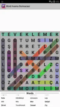 Free Word Puzzle : Free New Word Search Puzzle Screen Shot 4
