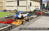 Elevated Car Driving Simulator Screen Shot 13