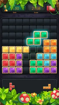 1010 Block Puzzle Game Classic Screen Shot 1