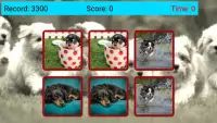 Your Pictures Memory Game Screen Shot 3