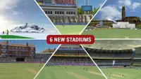 MSD: World Cricket Bash Screen Shot 1