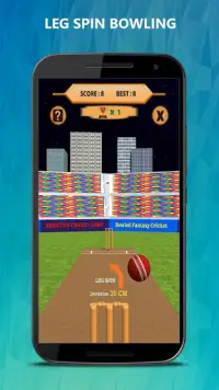 Bowled 3D - Cricket Game Screen Shot 3