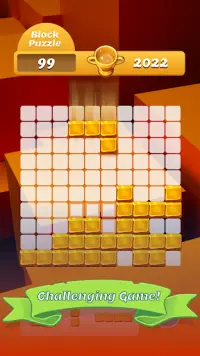 Block Puzzle - fun puzzle game Screen Shot 4