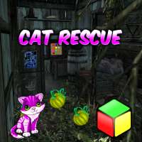 Cat Rescue Permainan