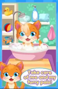 Baby Kitty Care - Pet Care Screen Shot 1