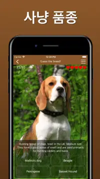 개 품종 개 퀴즈 추측 - 번식 식별자 앱 게임 Screen Shot 5