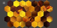 Honeycomb Puzzle Screen Shot 3