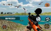Aves de caça Sniper Tiro Screen Shot 4