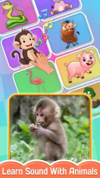 Baby Touch - Animal, Birds & Vehicles Sound Screen Shot 0