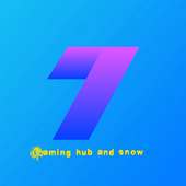 Gaming Hub And Snow