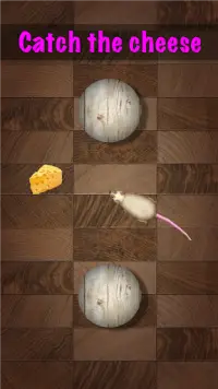 Games for Cat mouse on screen Screen Shot 0