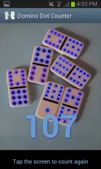 Domino Dot Counter Demo Screen Shot 2