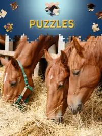 Horses Jigsaw Puzzles Free Screen Shot 2