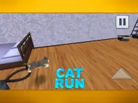 Cat Run Screen Shot 1