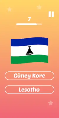 Quick, Flags! : World Flag Quiz Screen Shot 0