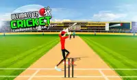 cricket T20 campioni lega Screen Shot 2