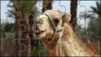 Camel Jigsaw Puzzles Game Screen Shot 7