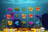 Gold Fish Slot Screen Shot 7