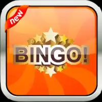 BINGO! Offline Bingo Games Screen Shot 0