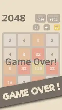 2048 PLUS Screen Shot 3