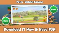 Peter Rabbit Escape Screen Shot 0