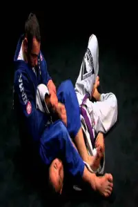 Jiu Jitsu Guide Screen Shot 1