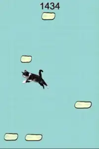 にゃんこじゃんぷ　Cat jump Screen Shot 1