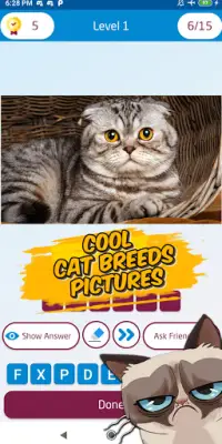 Guess the cat breed game Screen Shot 4