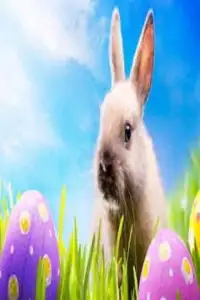 Easter Games for Kids & All Screen Shot 1